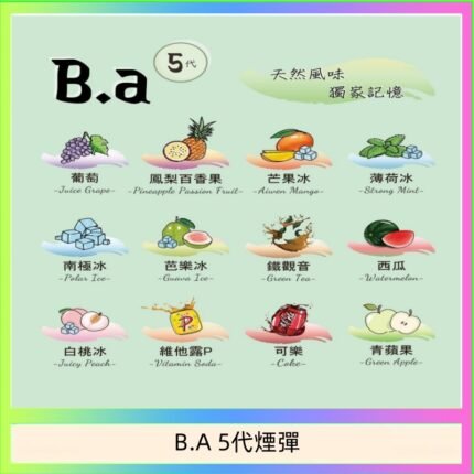B.A 5代主機煙彈電子煙一盒三顆
