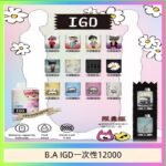 B.A IGD12000口 電子煙