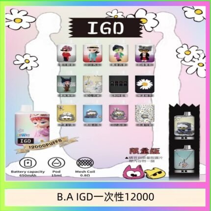 B.A IGD12000口 電子煙