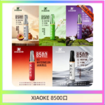 梟客XIAOKE一次性電子菸拋棄式8500口