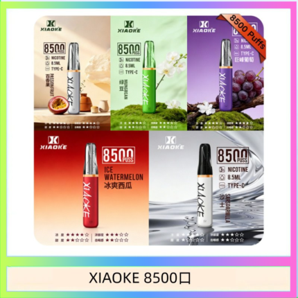 梟客XIAOKE一次性電子菸拋棄式8500口